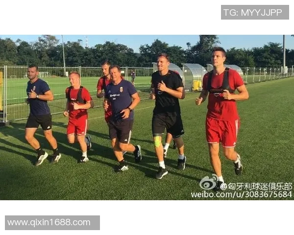 匈牙利与法罗群岛比赛前瞻及胜负预测分析 匈牙利与法罗群岛比赛前瞻及胜负预测分析